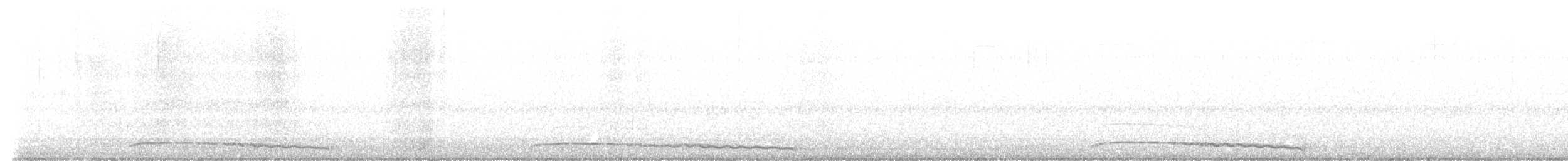 Petit-duc maculé - ML643272674