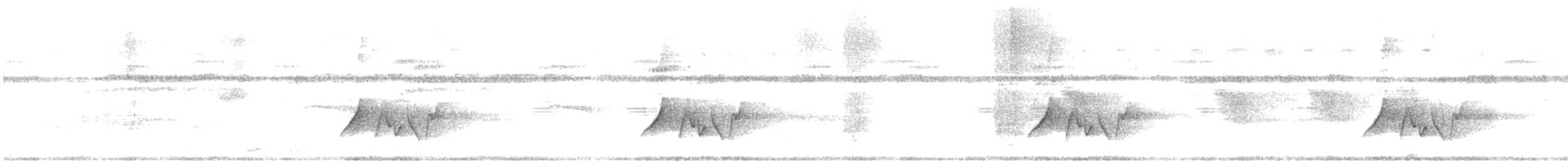 Тиран смугастий - ML643273495