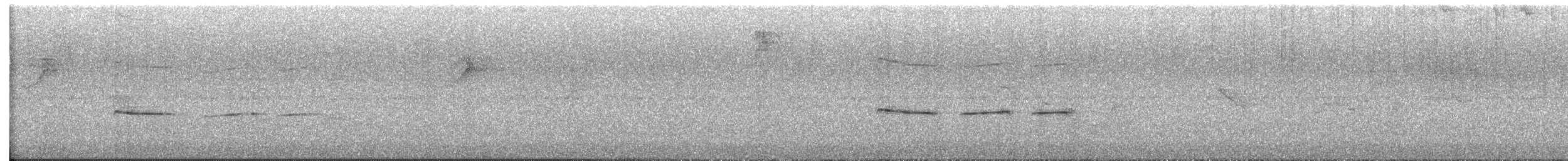 Southern Beardless-Tyrannulet - ML643274334