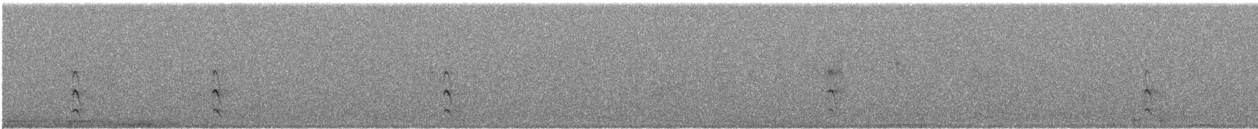 Sterne pierregarin - ML643276202