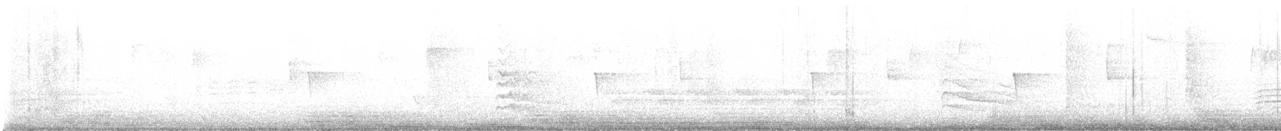 Red-breasted Nuthatch - ML643277856