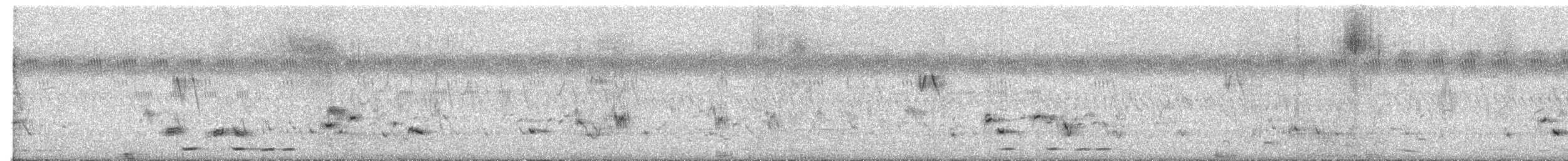 Indian Scimitar-Babbler - ML643278213