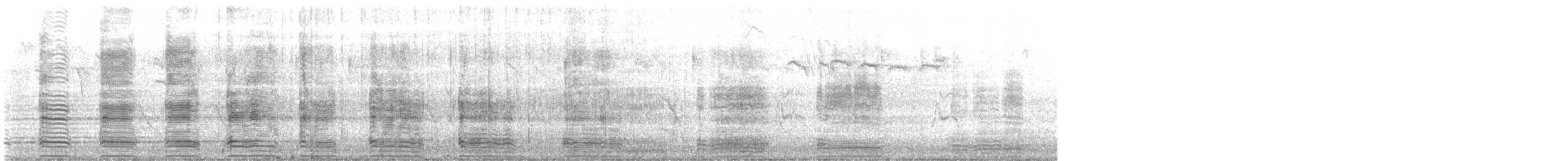 エジプトガン - ML643279559