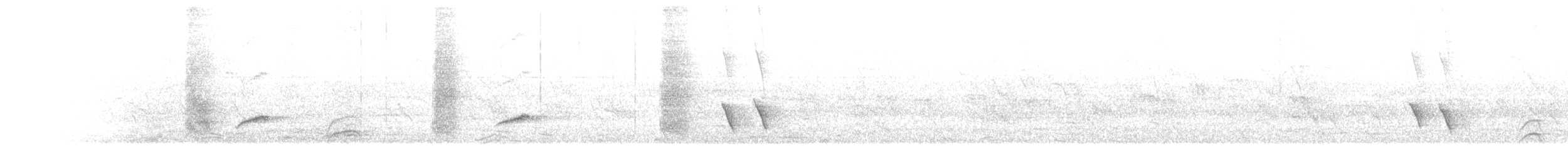 drongo šedobřichý - ML643279723