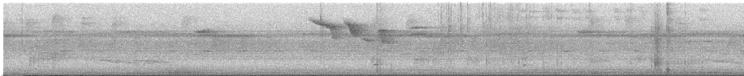 White-breasted Wood-Wren - ML643280238