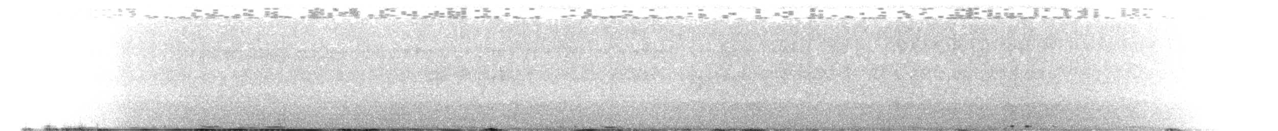 カワラバト（ドバト、家畜型） - ML643285474