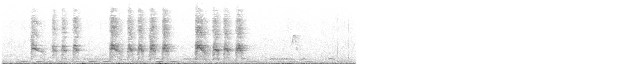 Milan noir (aegyptius/parasitus) - ML643285855