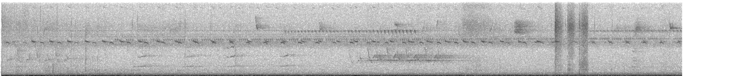 Wood Duck - ML643285886