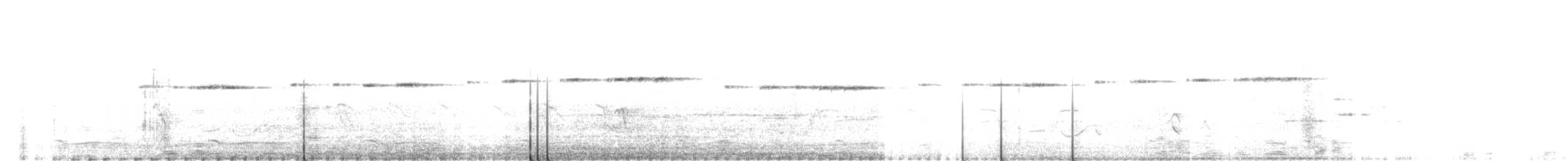Spotted Elachura - ML643286189