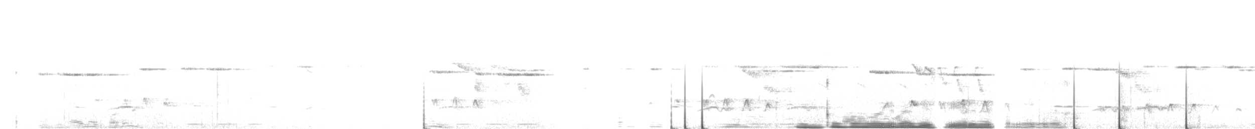 Spotted Elachura - ML643286190