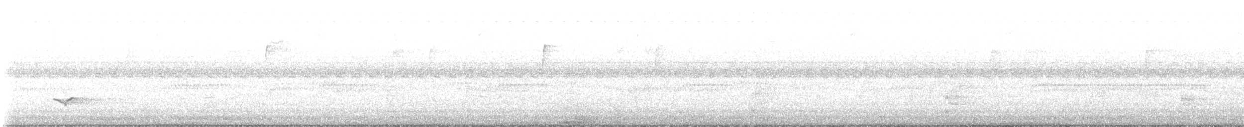 Baltimore Oriole - ML643288582