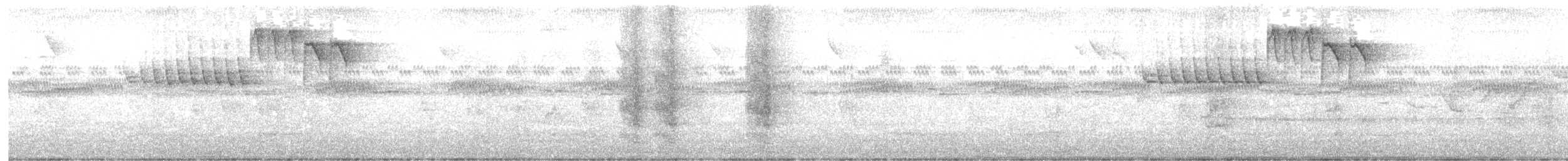 ヒメウソ - ML643289183