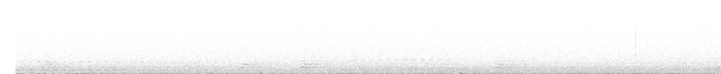 חרטומית אמריקנית - ML643289246