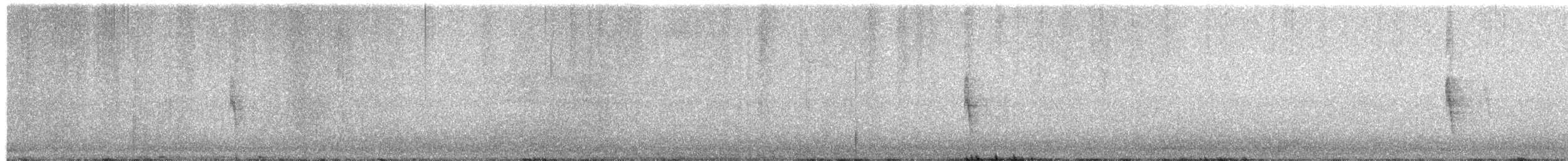Northern Mockingbird - ML643289727