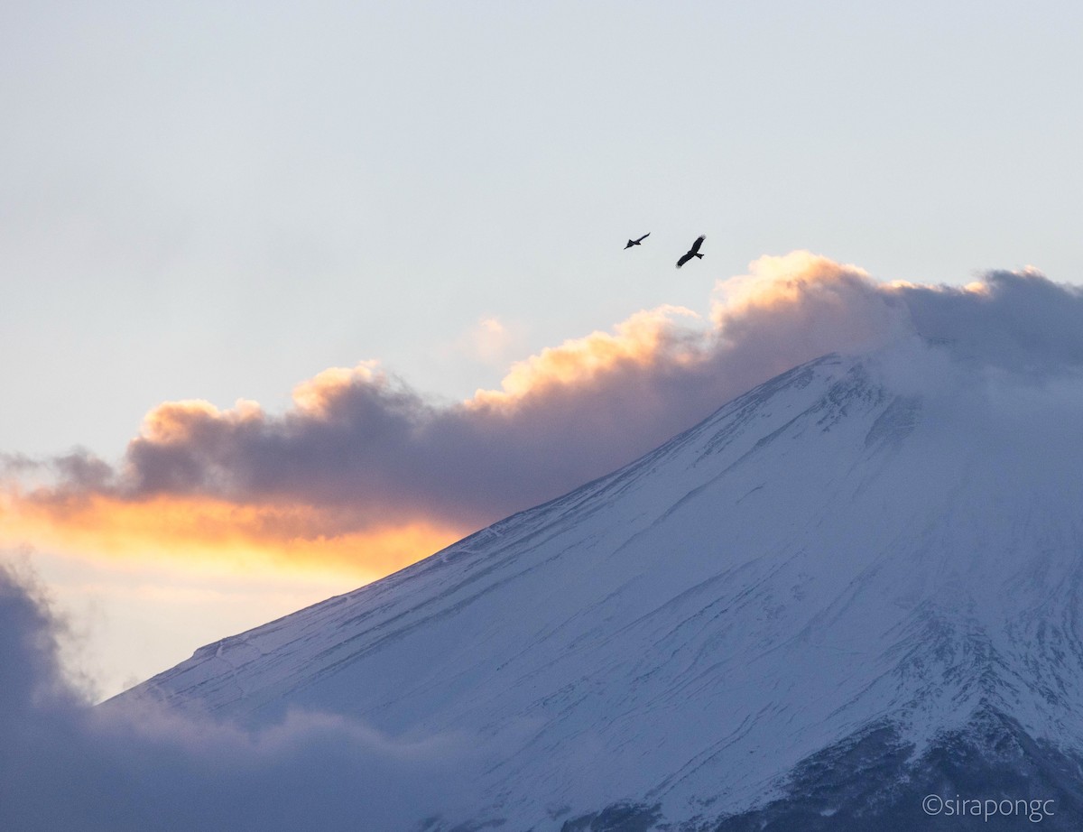 Milan noir - ML643290279