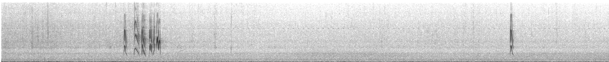 Mouse-colored Tyrannulet - ML643290312