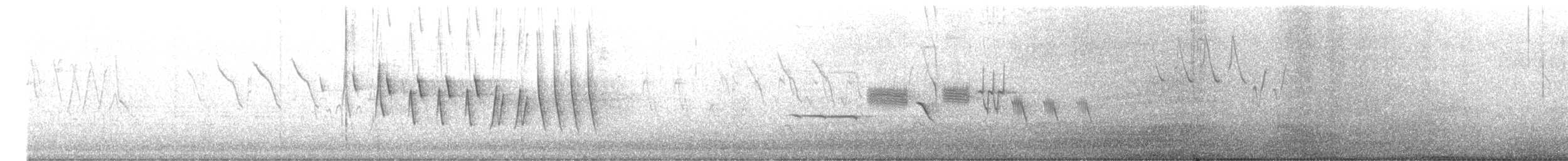 Northern Waterthrush - ML643290322