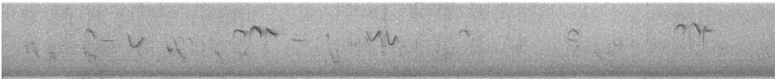 svartmeis (britannicus/hibernicus) - ML643290983
