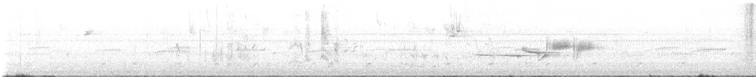 White-crowned Sparrow - ML643291458