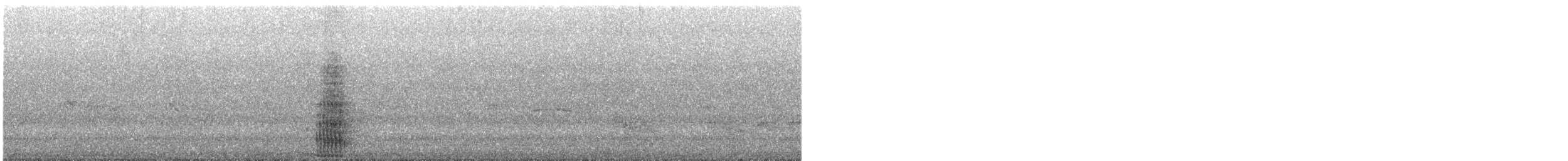 Toco Toucan - ML643291746