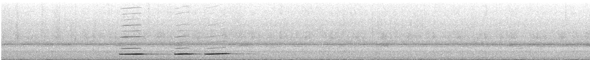 Undulated Tinamou - ML643292309