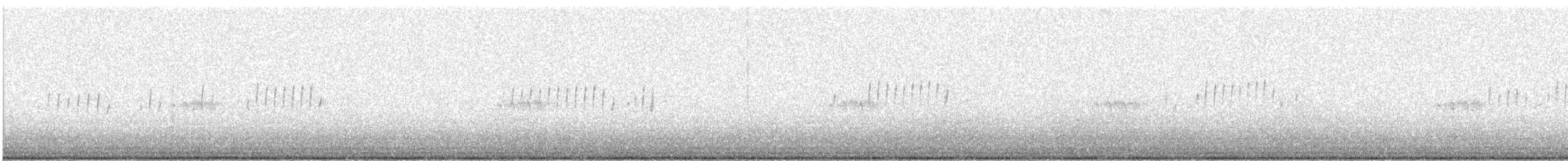 amerikarugde - ML643292687