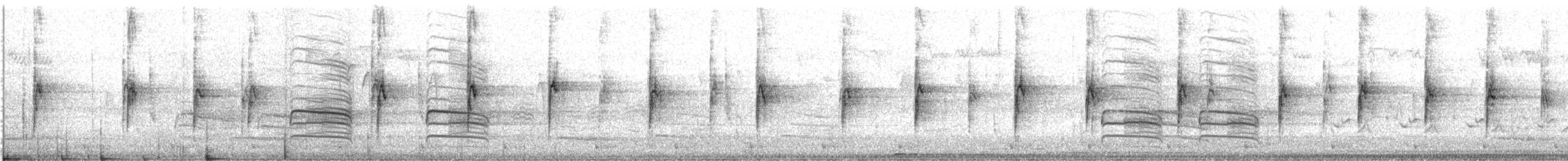 hvitstrupespurv - ML643293120