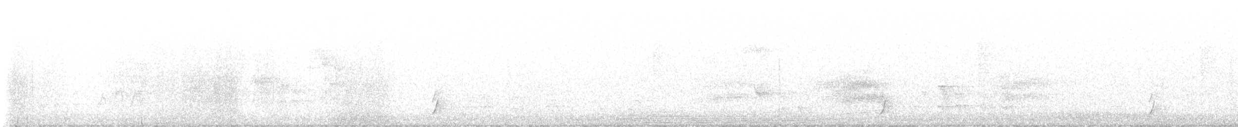 Zwergmusendrossel - ML643295630
