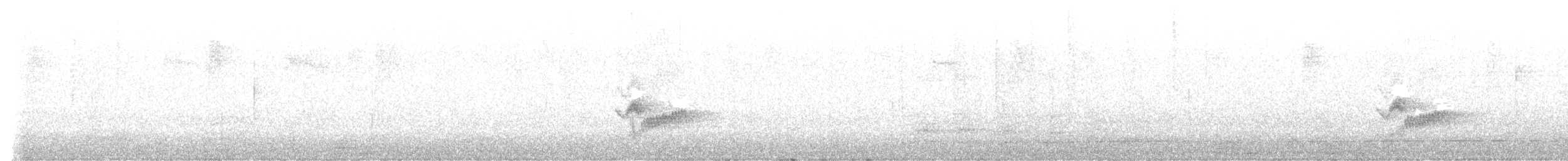 Viréo de Cassin - ML643296708