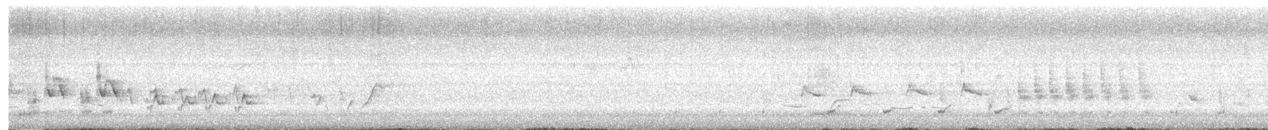 Australrohrsänger - ML643297338