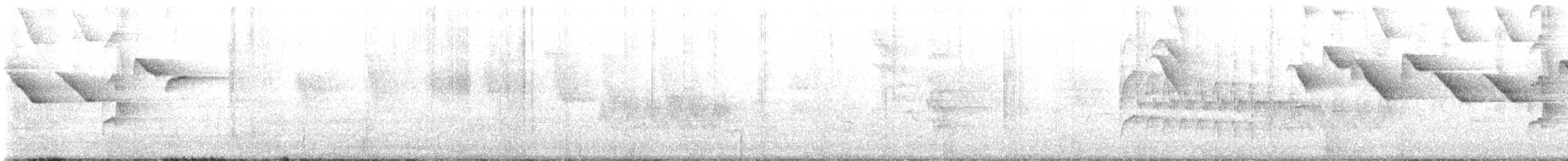 Fahlbrustdrossel - ML643297739