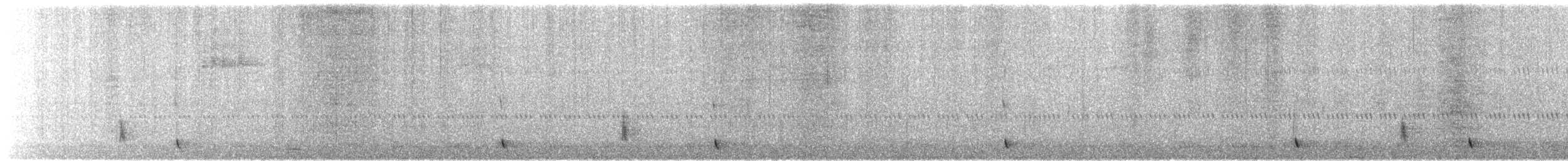 Einsiedler-Musendrossel - ML643297908