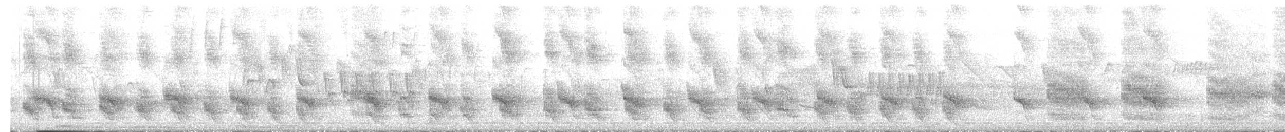 Braunhaubenläufer - ML643297966