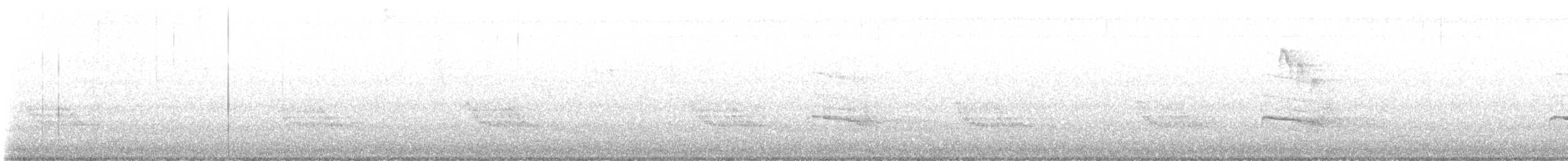 Red-bellied Woodpecker - ML643299302