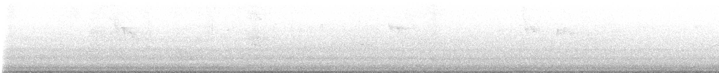 Moqueur polyglotte - ML643299537