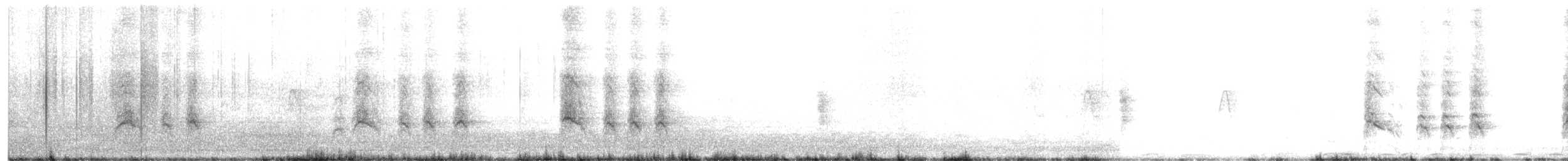 svartglente (aegyptius/parasitus) (gulnebbglente) - ML643300042