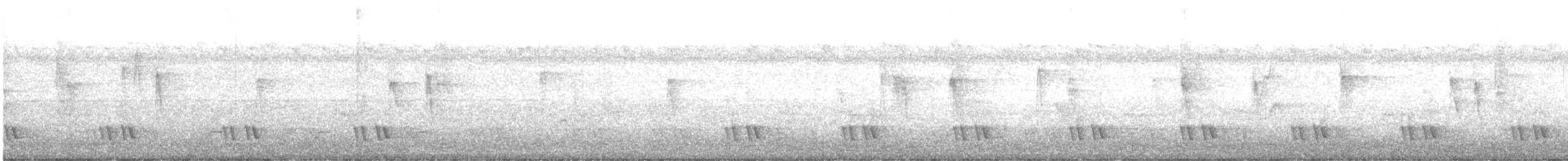 svartøreskjeggfugl - ML643300044