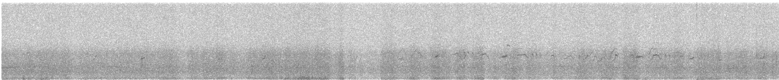 Peruvian Tern - ML643300325