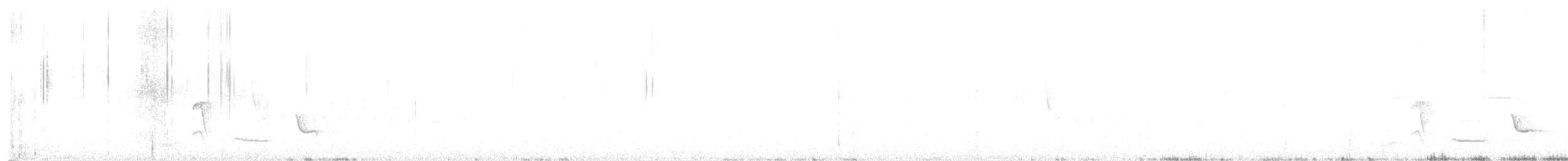 småkasik - ML643301558