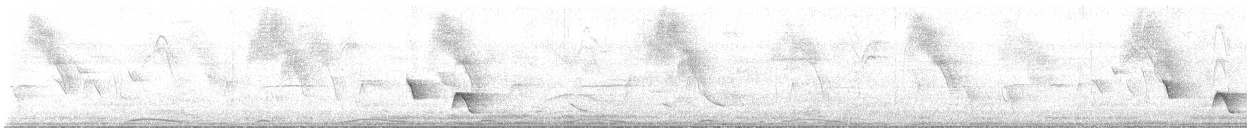 Buff-breasted Wren - ML643302445