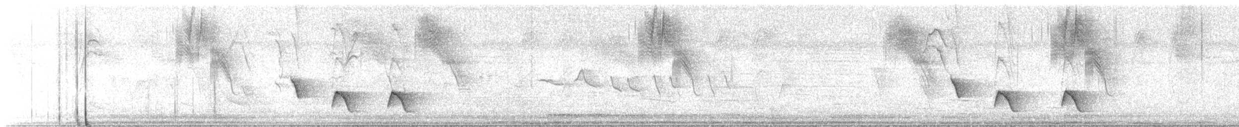 Buff-breasted Wren - ML643302971