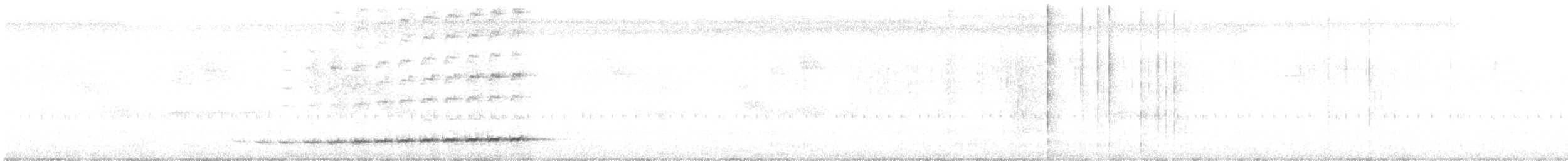 Thicket Antpitta - ML643303085