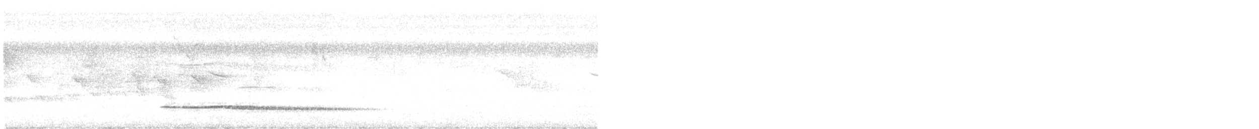 コシギダチョウ - ML643303521