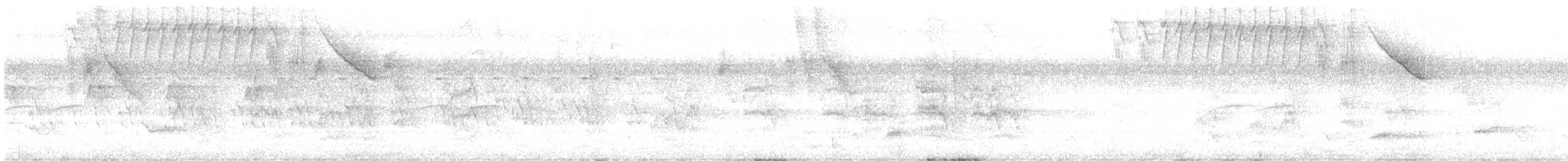 Bananaquit - ML643303654