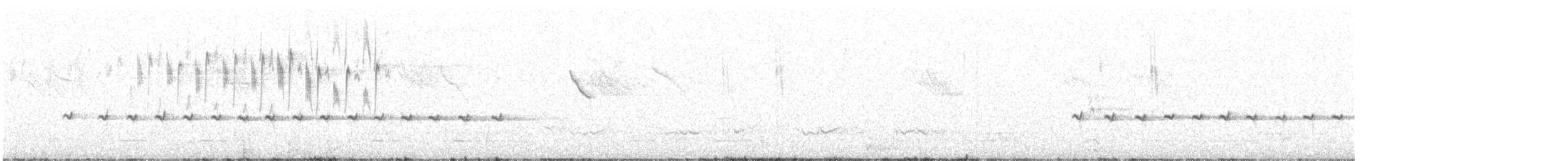 White-browed Treecreeper - ML643304458
