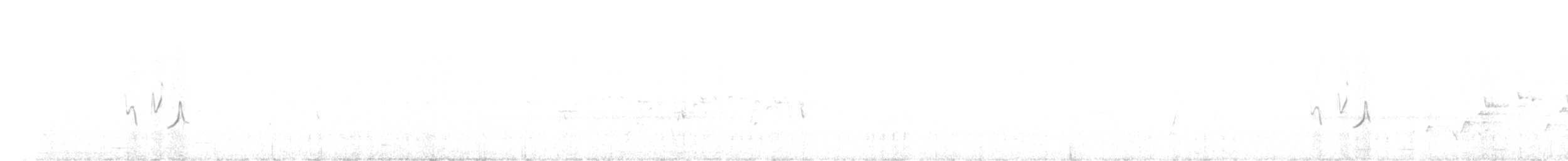 Stubble Quail - ML643305419