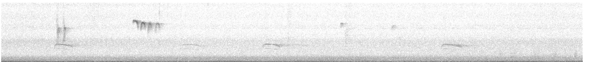 Carolina Chickadee - ML643307156