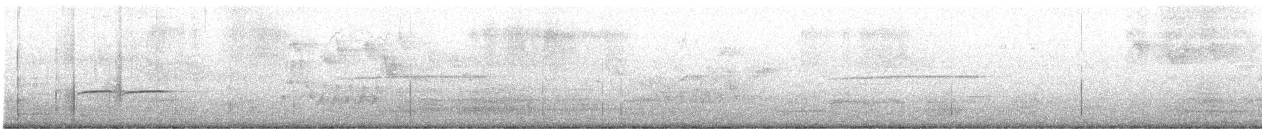 Southern Beardless-Tyrannulet - ML643307504
