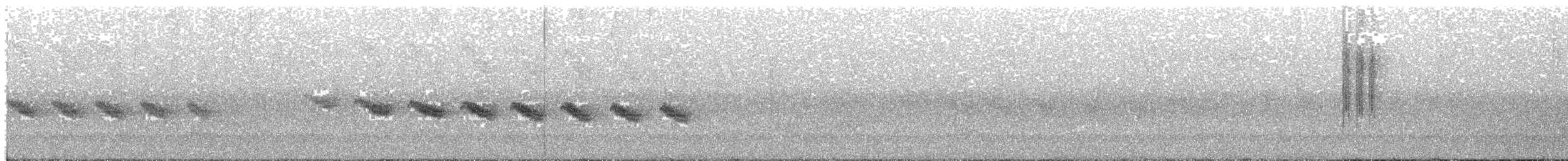 Star-throated Antwren - ML643307618
