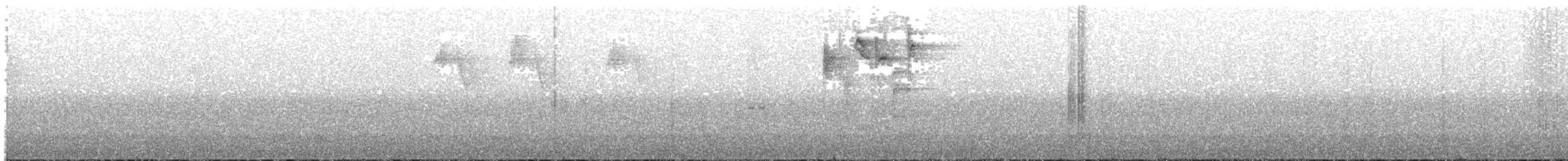 ウスズミコメワリ - ML643307754